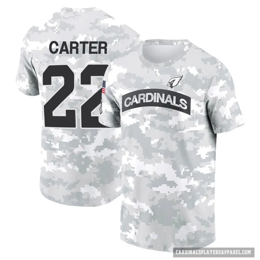 Men's ＃22 Michael Carter Arizona Cardinals Camo Arctic 2024 Salute to Service Performance T-Shirt
